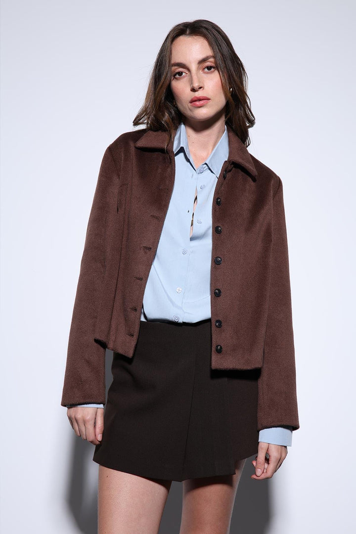 ANT Antioch Coffee Shirt Collar Short Coat - Moita