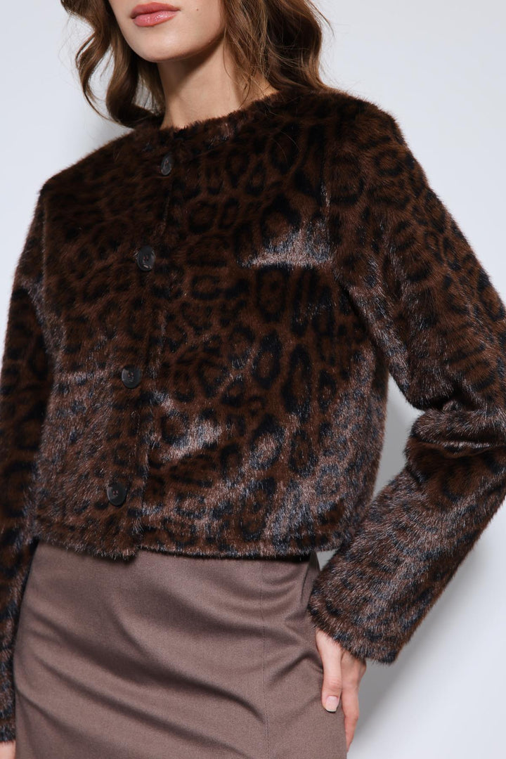 ANT Antioch Coffee Animal Print Jacket - Cape Coral