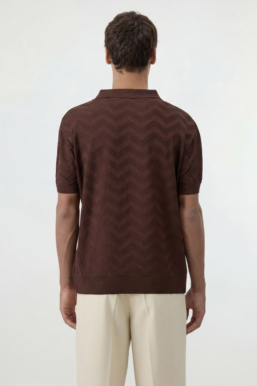 ANT Antioch Kahve Zigzag Desenli Polo Yaka Triko Erkek T-Shirt - Wilrijk