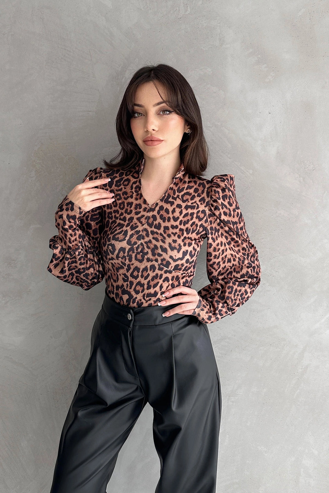 Brown Turtleneck Leopard Print Diver Blouse BCDF-242147 - Fort Collins