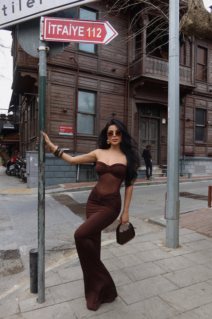 EYY Women Brown Transparent Long Dress - Halton Hills