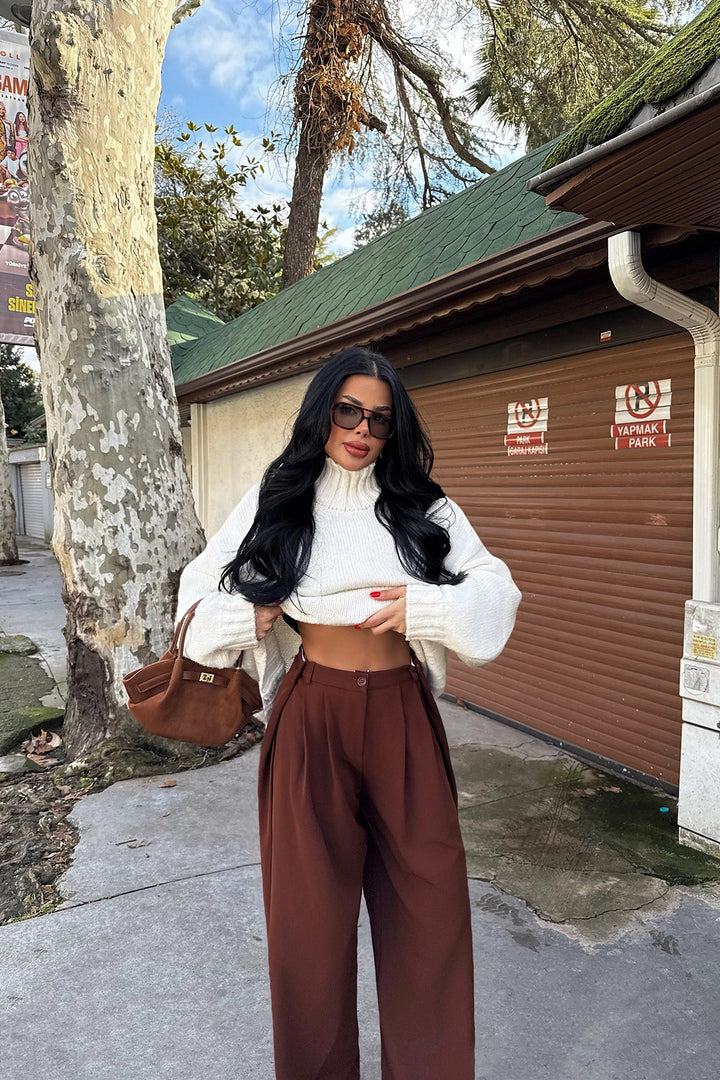 EYY Women Brown High Waisted Pants - Woodbridge