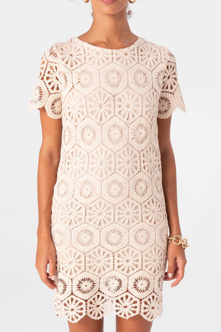 BSL Women Short Sleeve Lace mini Dress - Elkhart