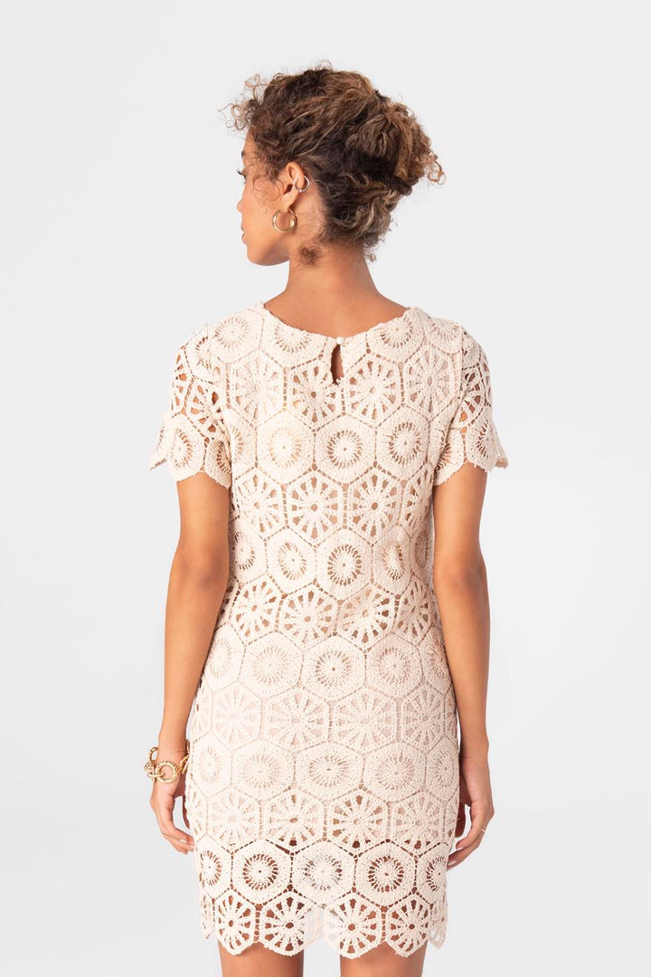 BSL Women Short Sleeve Lace mini Dress - Elkhart