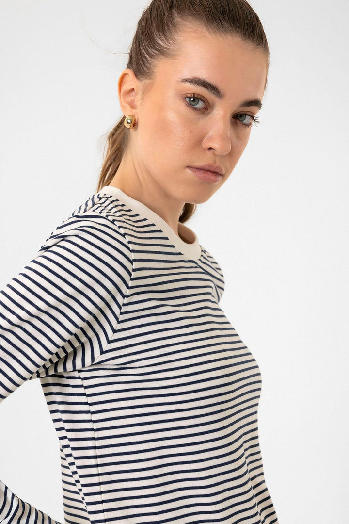 ANT Antioch Blue Striped Women's Seasonal Sweater - Reading