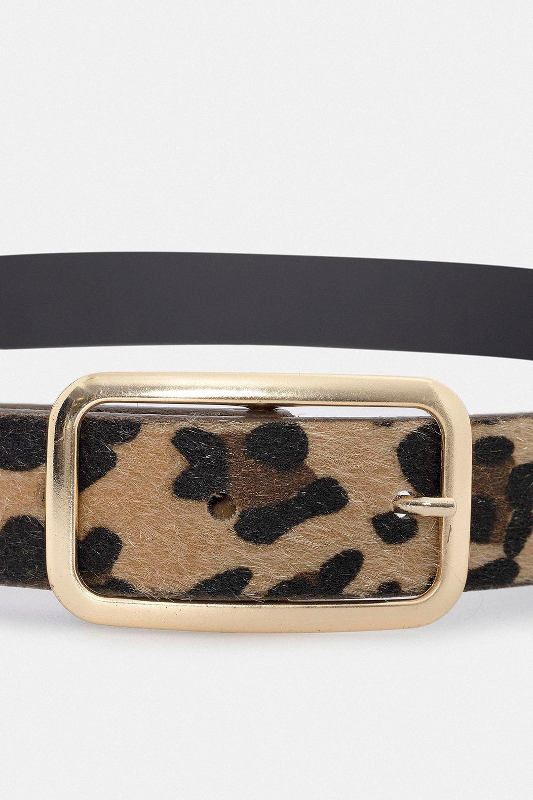 ANT Antioch Leopard Print Faux Leather Women's Belt - Stockport