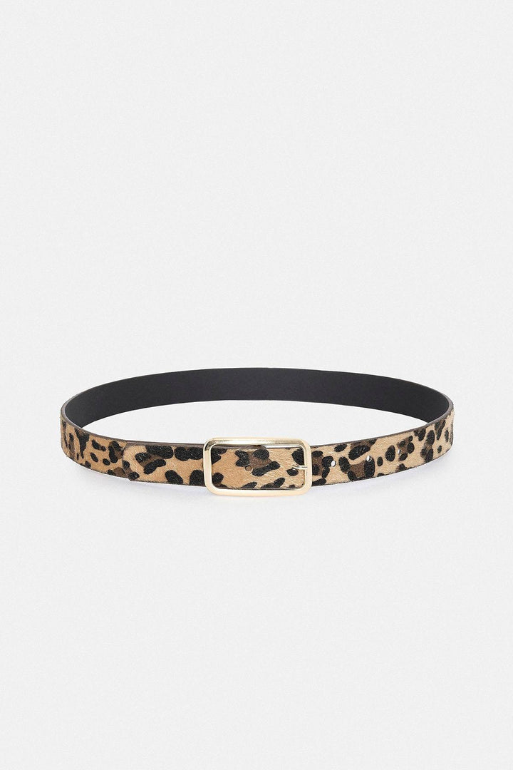 ANT Antioch Leopard Print Faux Leather Women's Belt - Stockport