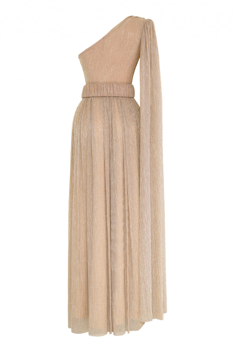 FRV Gold plus size moonlight single sleeve maxi dress - Antequera