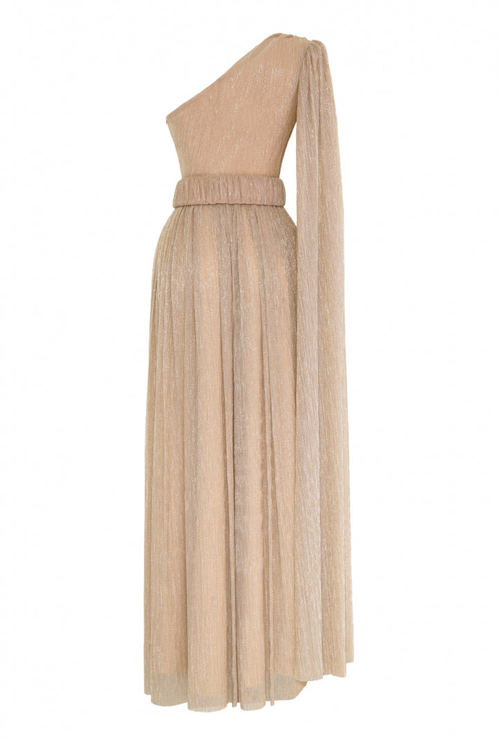 FRV Gold plus size moonlight single sleeve maxi dress - Antequera