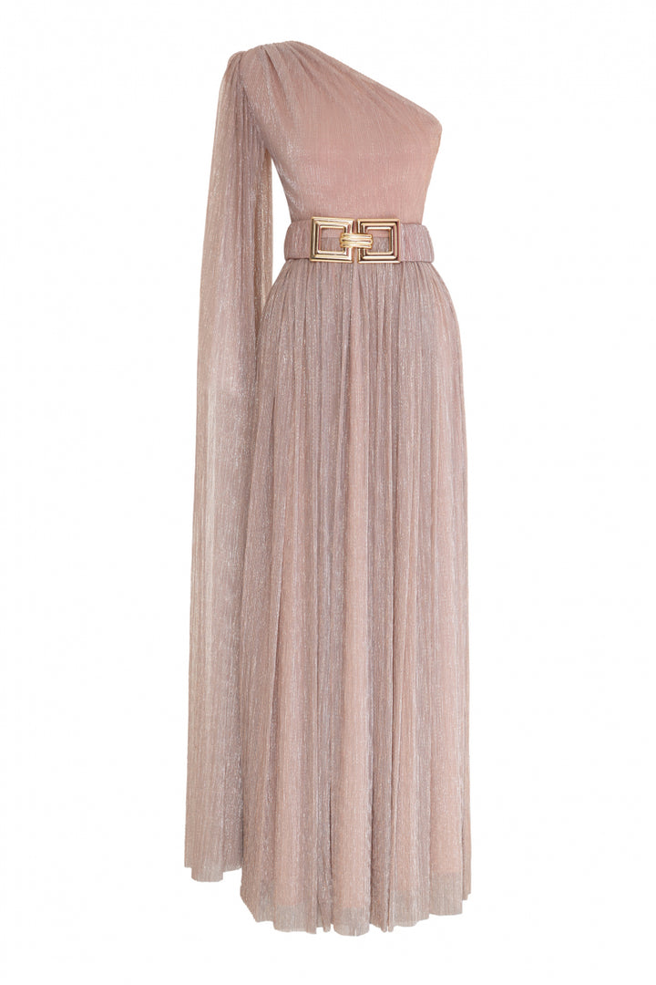 FRV Blush plus size moonlight single sleeve maxi dress - Shakhtarsk