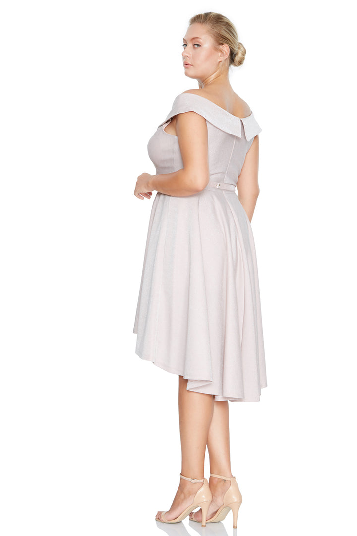 FRV Blush plus size glare sleeveless midi dress - Kaufbeuren