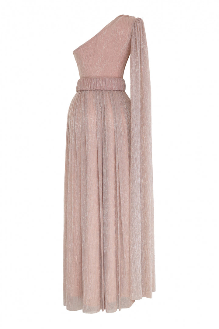 FRV Blush plus size moonlight single sleeve maxi dress - Shakhtarsk