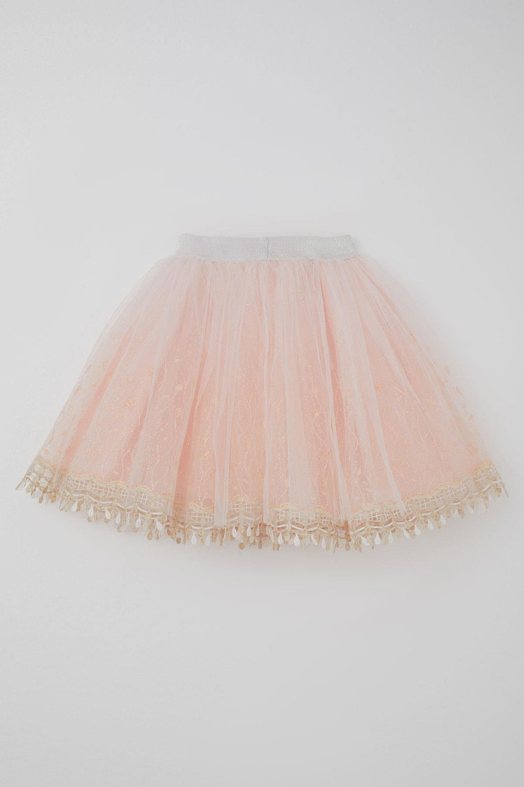 BRE Monita Girl Child Tutu Skirt Delicate Bud Embroidered Glittery 1.5-9 Years, Salmon - Brăila