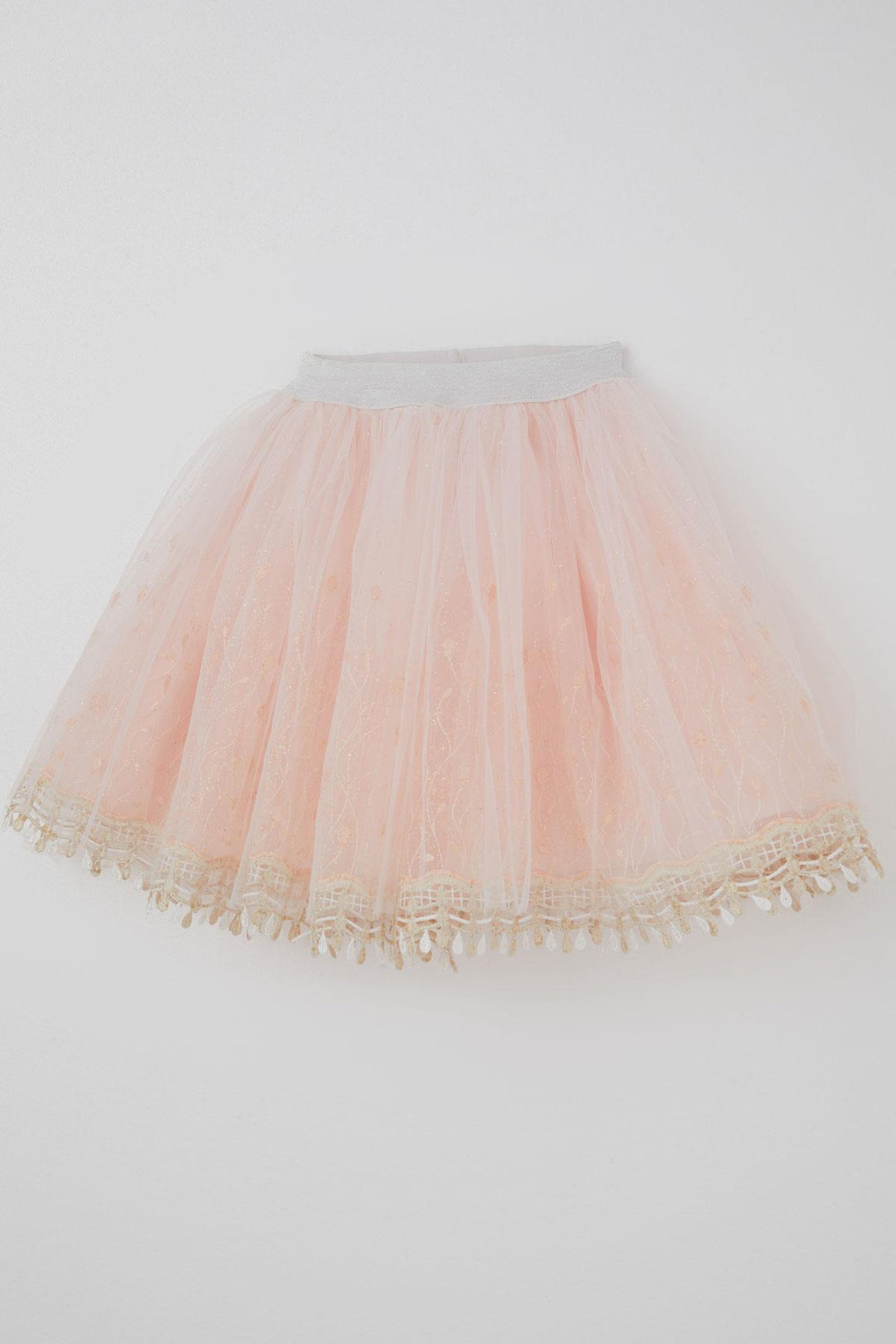 BRE Monita Girl Child Tutu Skirt Delicate Bud Embroidered Glittery 1.5-9 Years, Salmon - Brăila