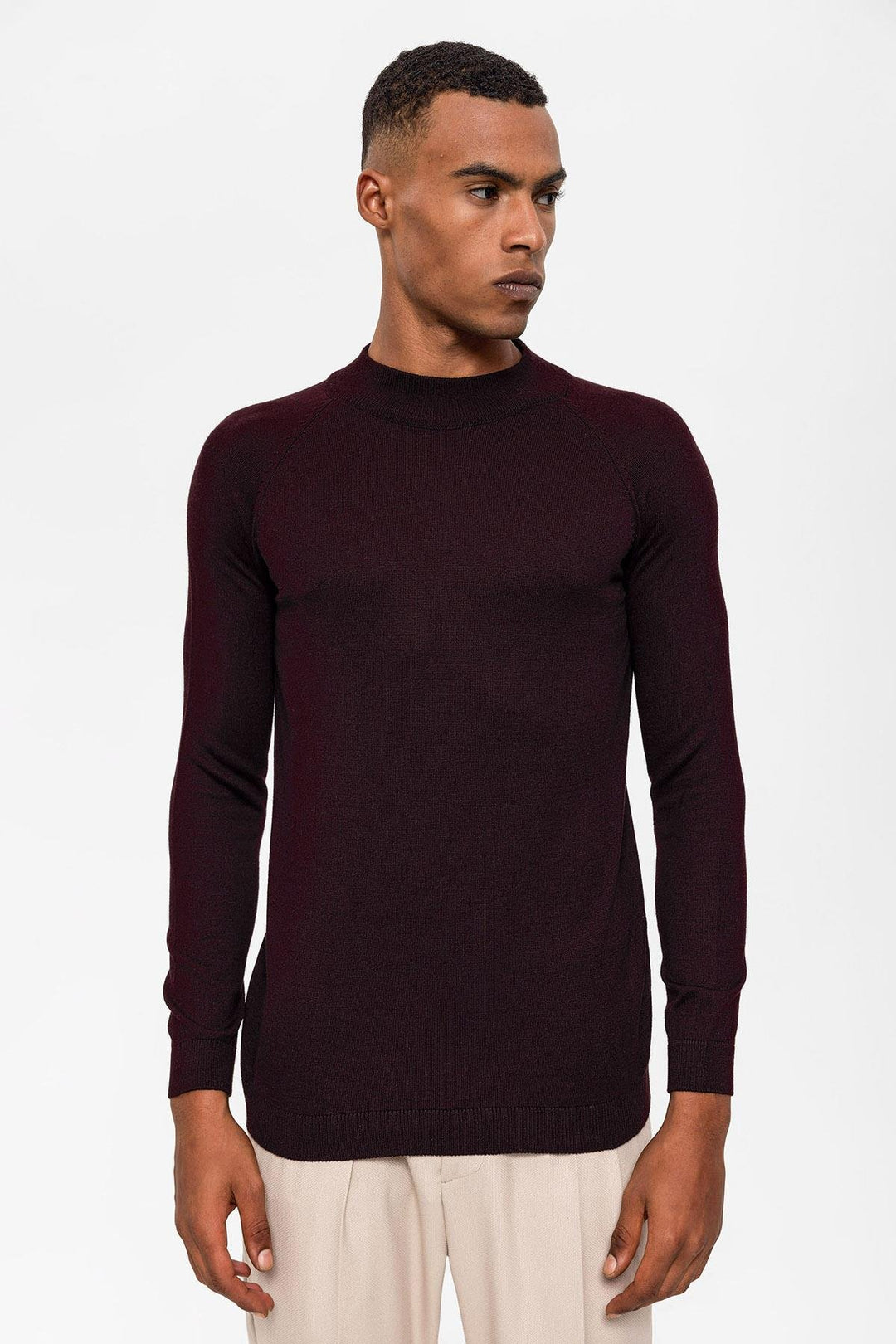 ANT Antioch Purple Half Neck Men's Sweater - Tamarac
