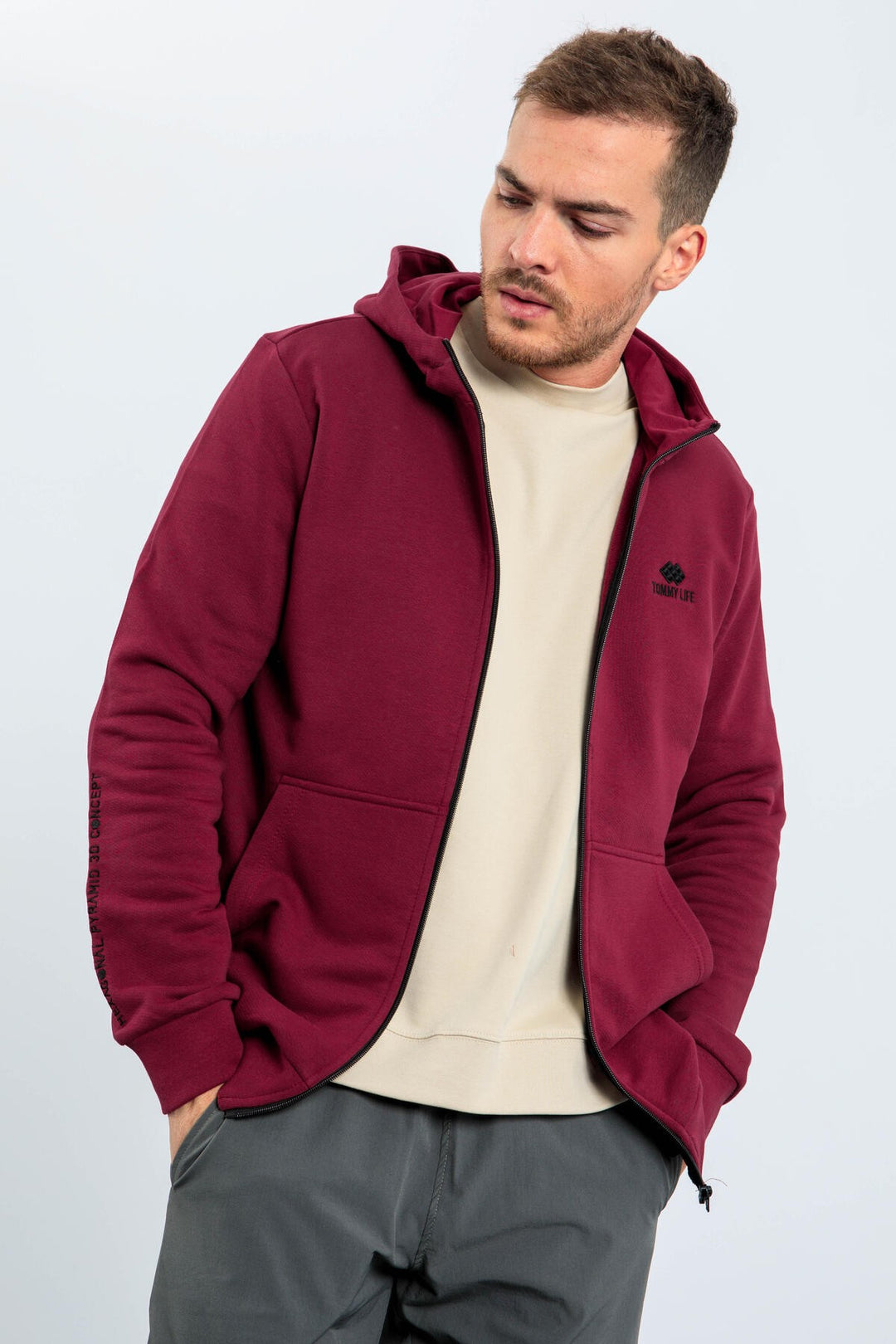 TMY Purple Basic Hooded Comfort Fit Embroidered Detail Zippered Men's Sweatshirt - 88035 - Ixtapaluca