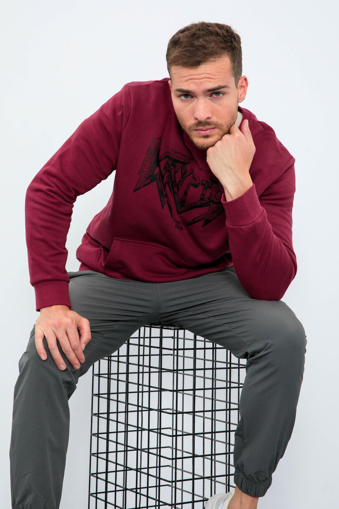 TMY Purple Male Printed O Neck Comfort Fit Sweatshirt - 88037 - Moline
