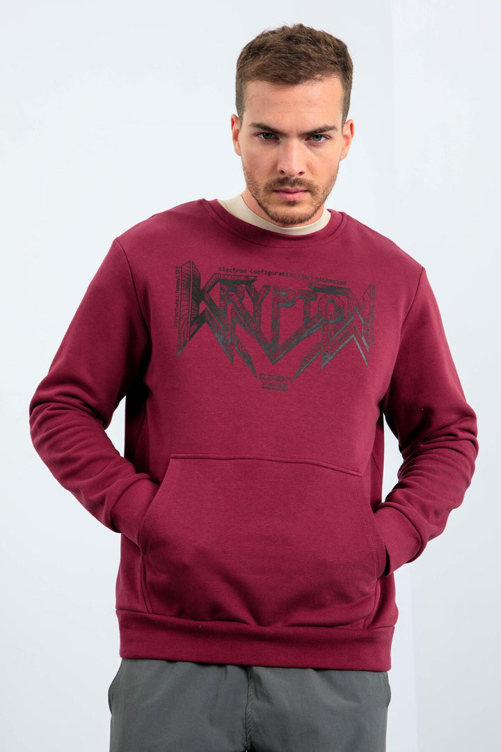 TMY Purple Male Printed O Neck Comfort Fit Sweatshirt - 88037 - Moline