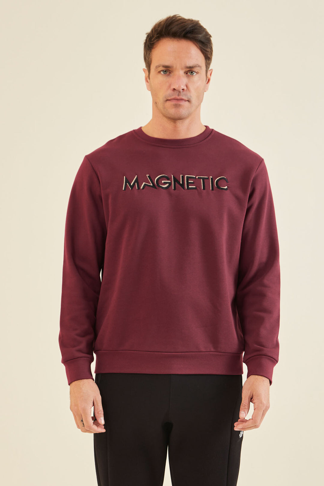 TMY Purple Embroidered Round Neck Comfort Fit Men's Sweatshirt - 88020 - Peine