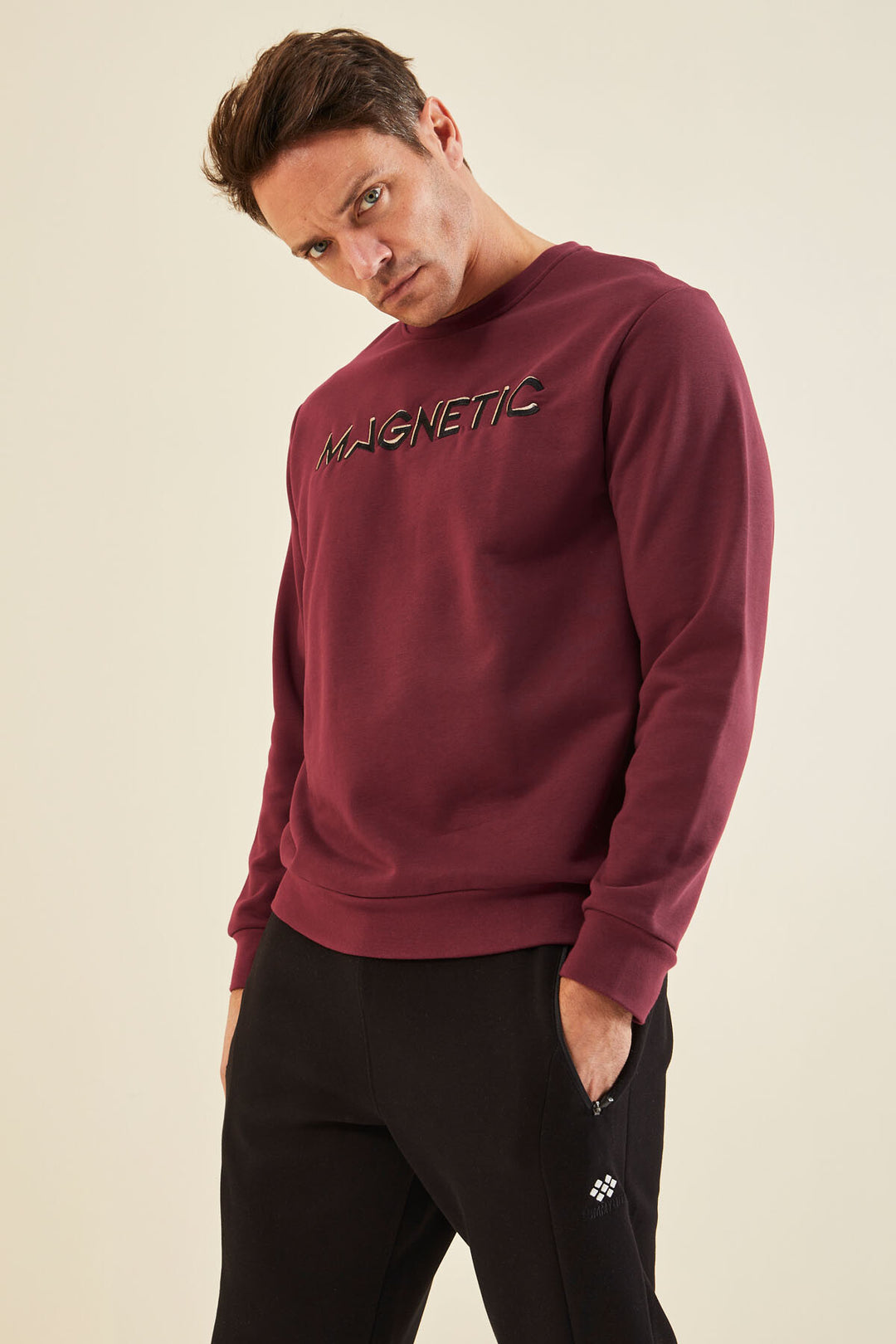 TMY Purple Embroidered Round Neck Comfort Fit Men's Sweatshirt - 88020 - Peine
