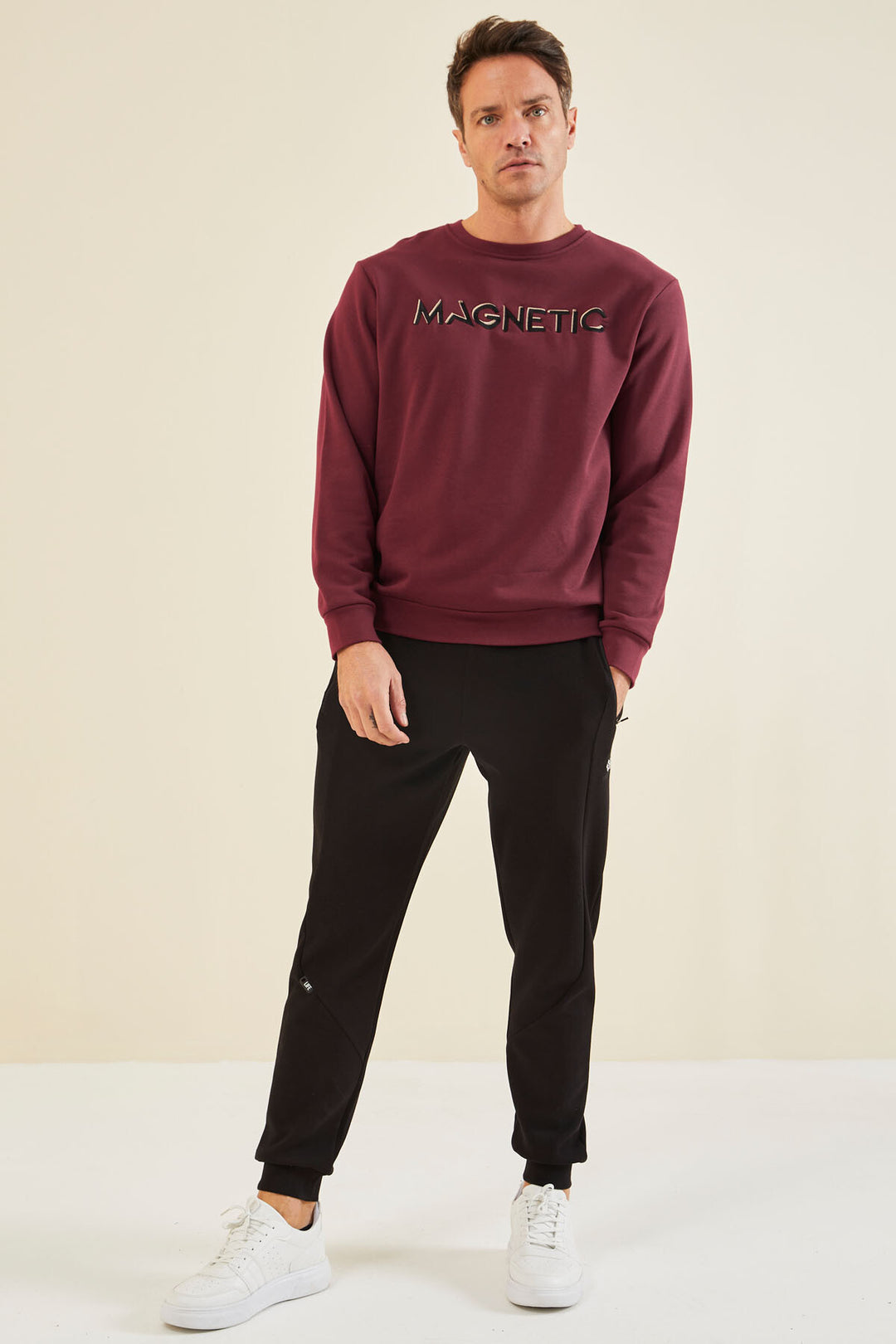 TMY Purple Embroidered Round Neck Comfort Fit Men's Sweatshirt - 88020 - Peine