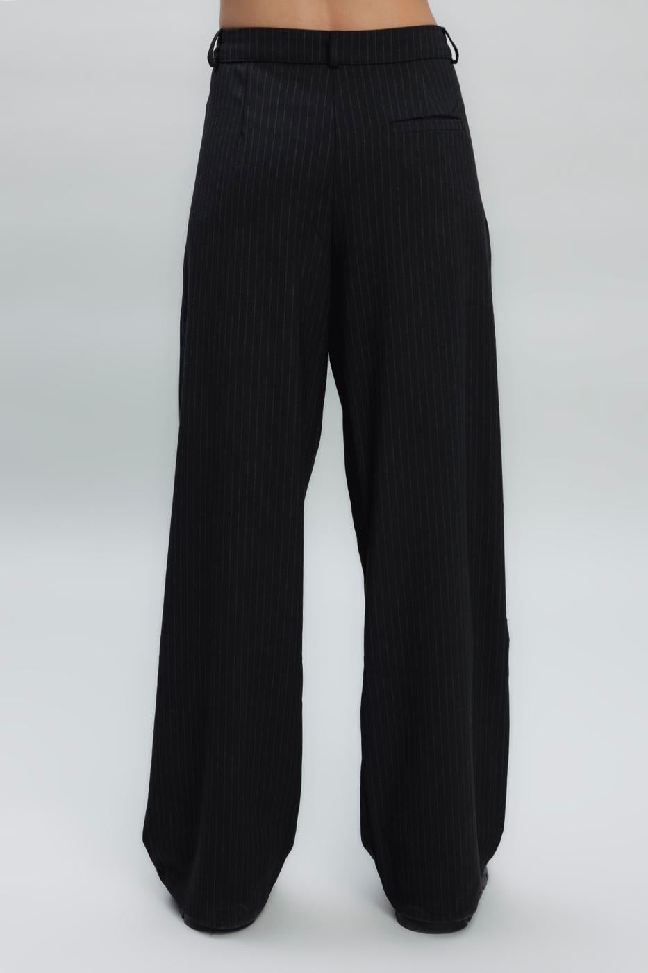 BSL Women Pleated Fabric Trousers - Santa Maria