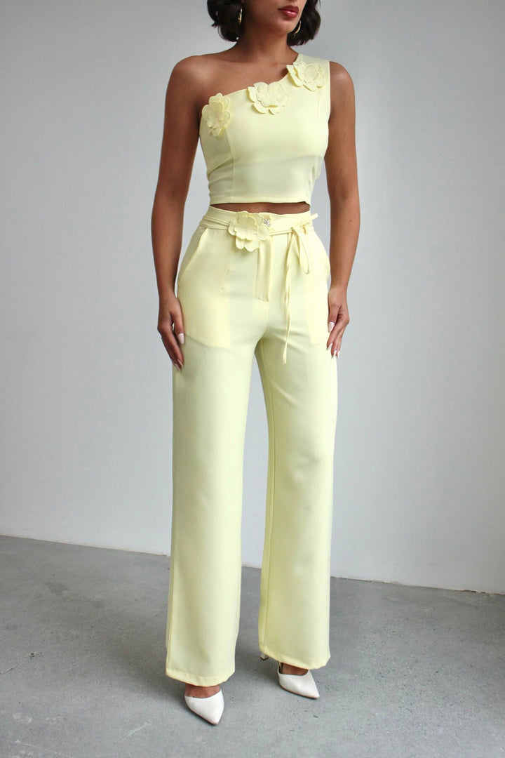 Sarı Aksesuar Detaylı Bluz Ve Pantolon Dokuma Alt Üst Takım BCHN-2526127 - Nelson