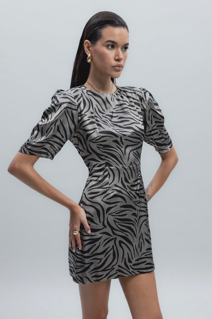 BSL Women Satin Zebra Patterned Mini Dress - Tepotzotlán