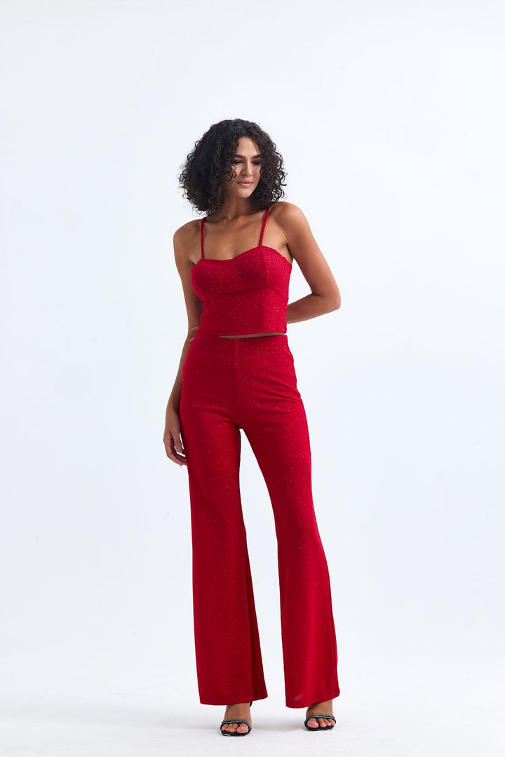 SNS Sense Bordeaux High Waisted Glittery Pukuro Evening Pants - Newnan