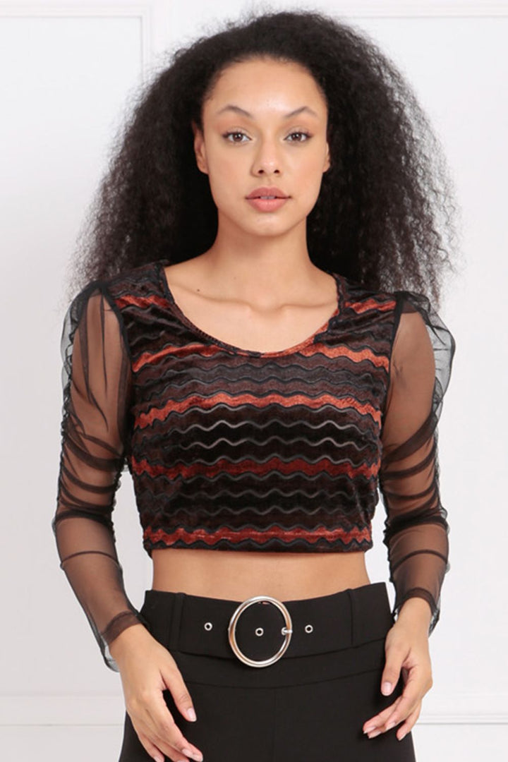 SNS Sense Coffee Sleeve Tulle Striped Velvet Blouse - Pulheim