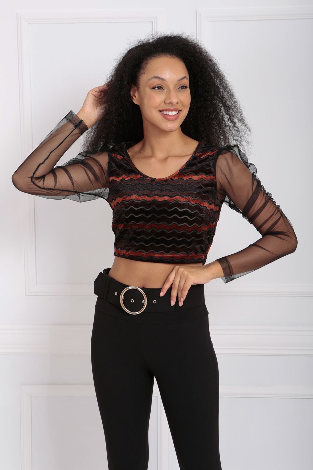 SNS Sense Coffee Sleeve Tulle Striped Velvet Blouse - Pulheim