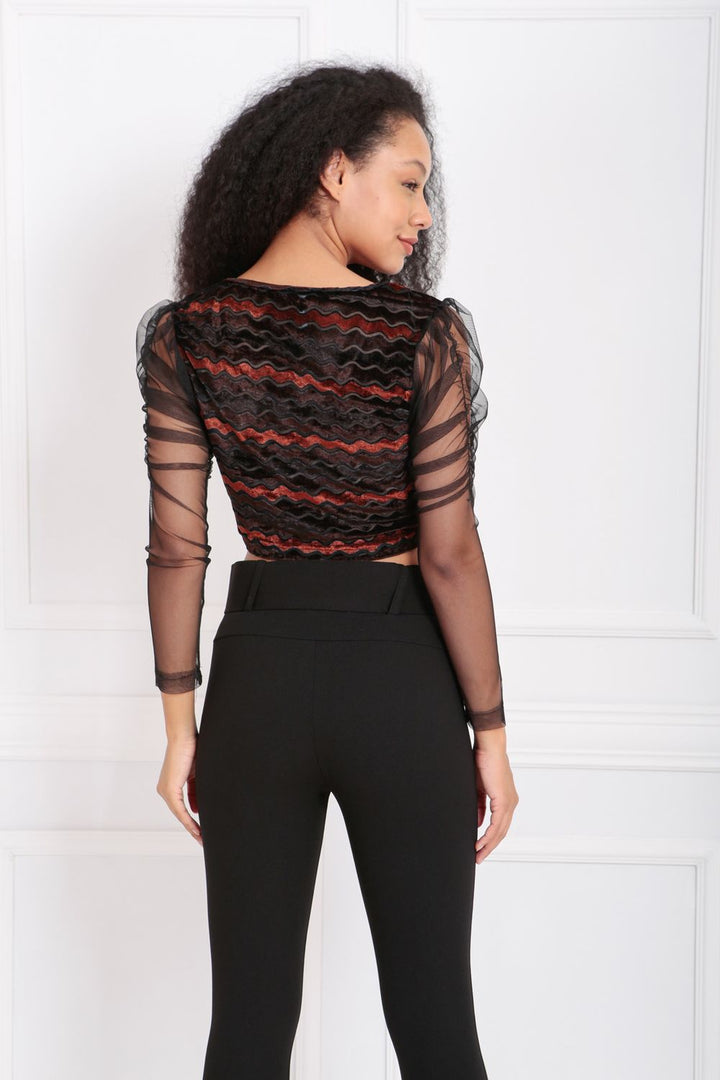 SNS Sense Coffee Sleeve Tulle Striped Velvet Blouse - Pulheim
