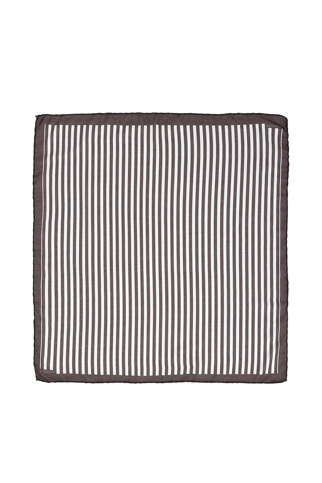 ANT Striped Scarf - Edmonton