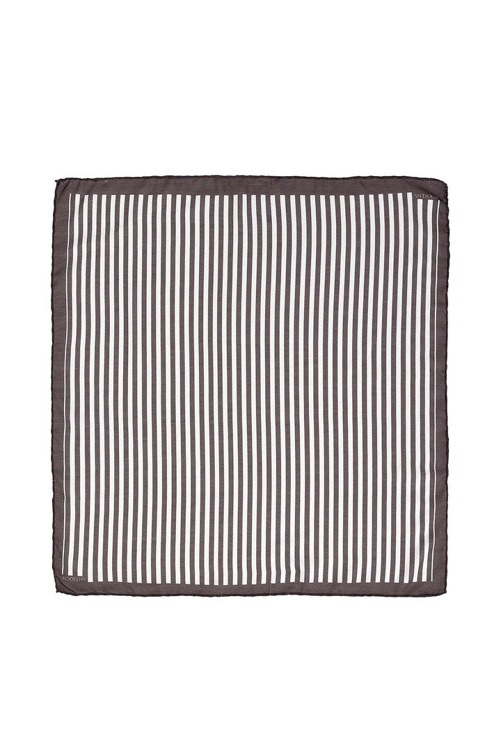 ANT Striped Scarf - Edmonton