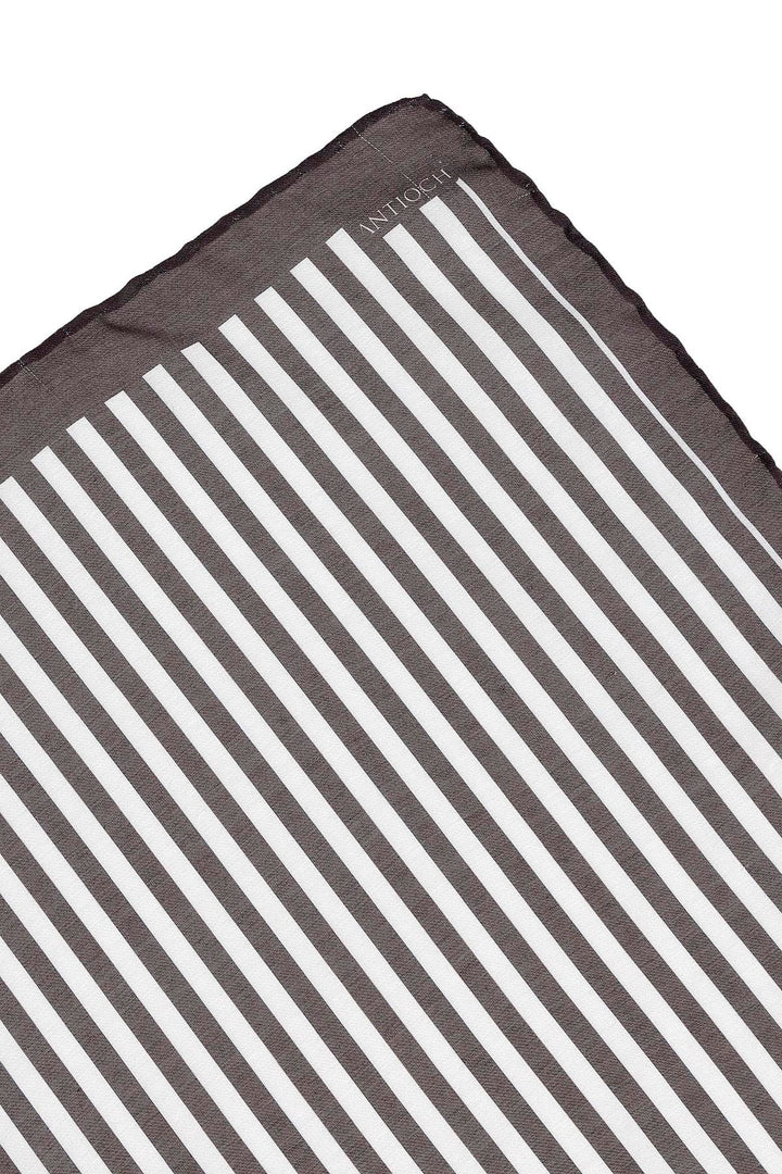 ANT Striped Scarf - Edmonton