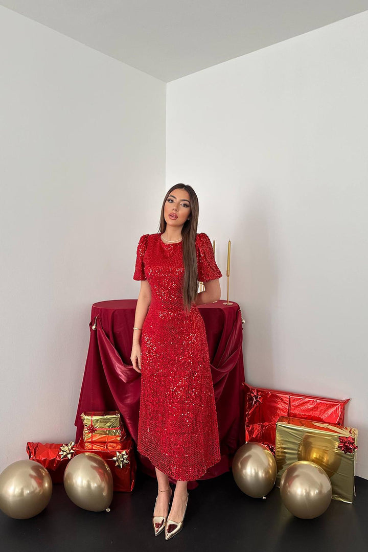 ELS Wholesale Red Velvet Dress - Port Charlotte