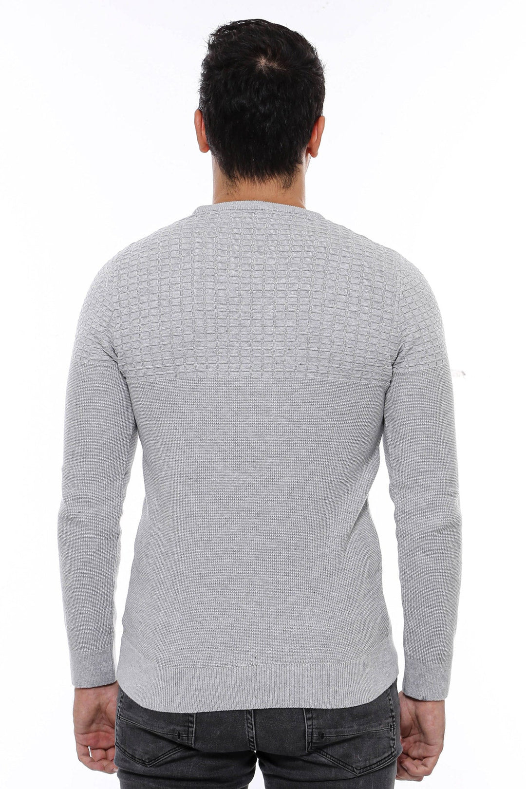 WSS Circle Neck Patterned Light Grey Men Knitwear  - Meppel