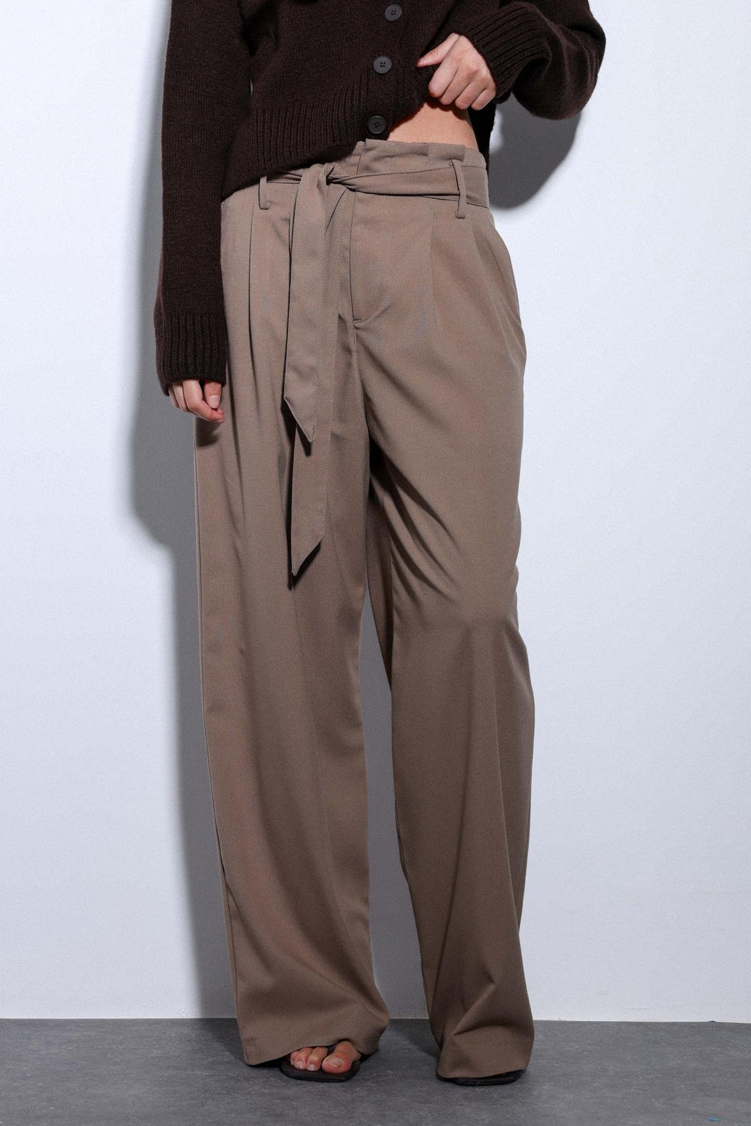 ANT Antioch Mink Belted Pleated Wide Leg Women's Pants - Evans