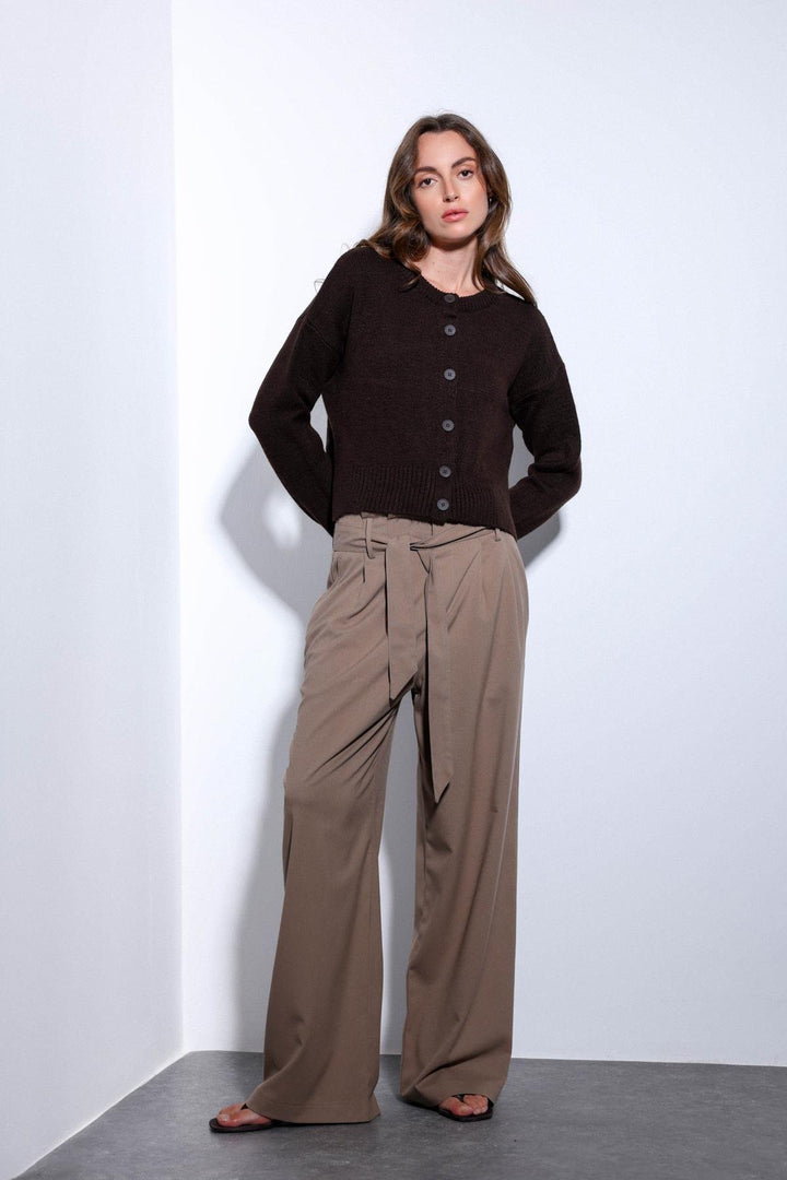 ANT Antioch Mink Belted Pleated Wide Leg Women's Pants - Evans