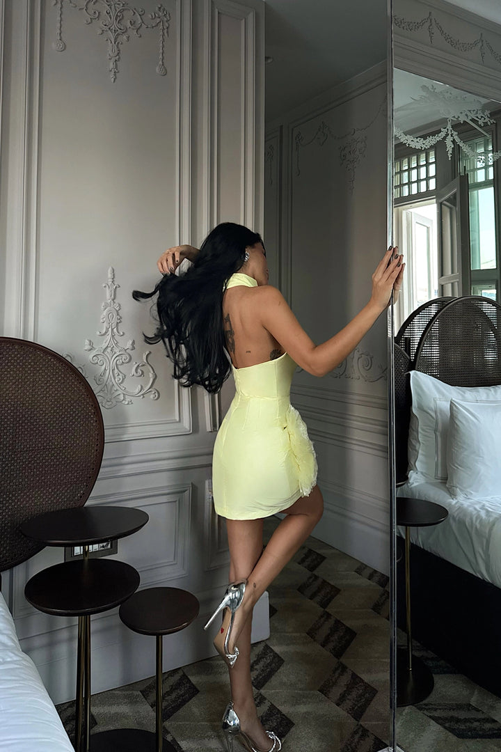 EYY Women Sarı Freyya Mini Elbise, Gül Desenli Etek - Edinburg