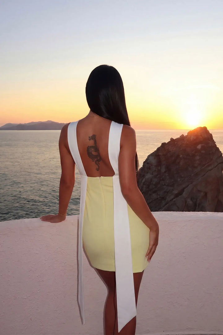EYY Women Yellow Two-Tone Mini Dress - Sioux Falls