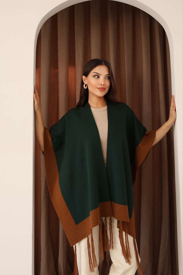 Emerald Green Tasseled Color Block Winter Knit Scarf BCES-253005 - University Place