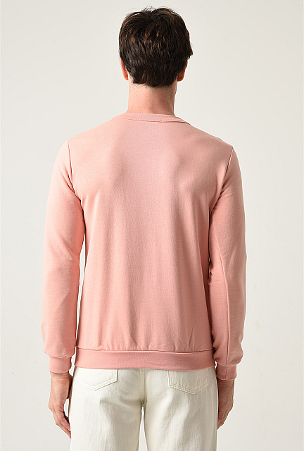 ANT Men's Sweatshirt Pink - Forest Hill
