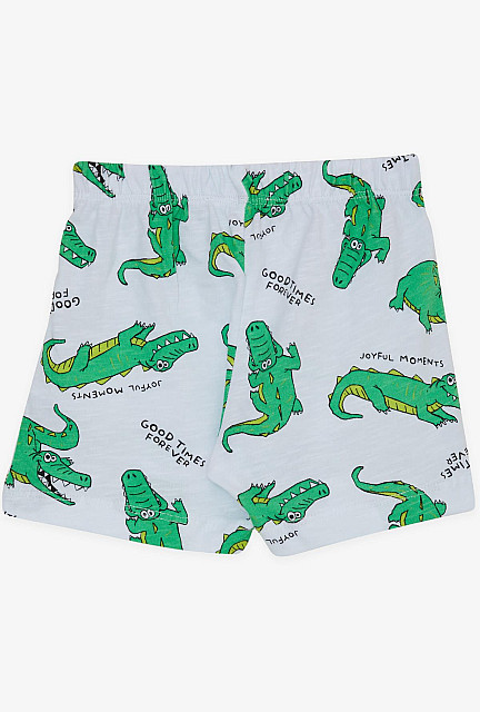 BRE Baby Boy Shorts Lace Accessory Cheerful Crocodile Pattern Ice Blue - Tulare